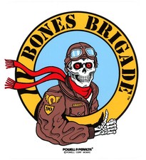 Powell Peralta Skateboard