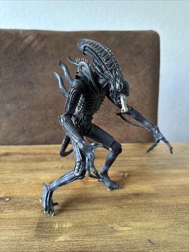Alien aliens xenomorph - alien, hr