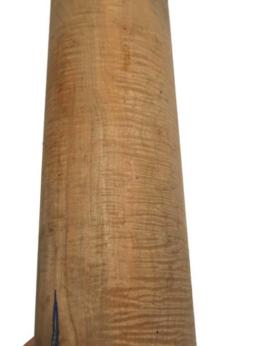 Ahorn riegel holz riegelahorn - holz,