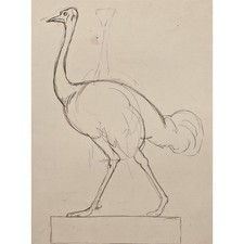 Hans Thoma Tierstudie Vogel Strauß Realismus signiert Bleistift Zeichnung 20 Jh