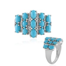 Dornröschen-Türkis