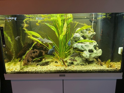 Juwel aquarium 120l - 120l, mit