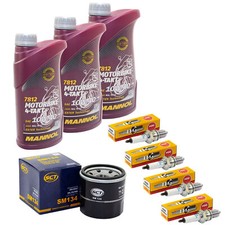 Set Inspektion für Honda VT