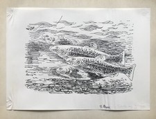 Karl Adser 1912-1995 Regenbogenforellen im Fluß Angeln Oncorhynchus mykiss 