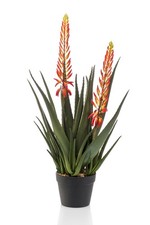Künstliche blühende aloe - blühende,