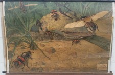 antike Schulwandkarte WELT DER