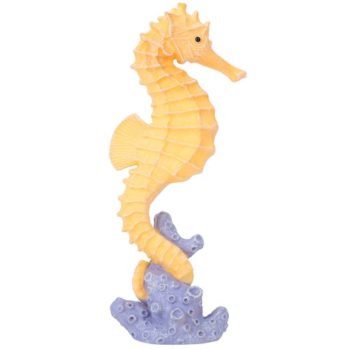 Sea horse types ocean - horse, 3