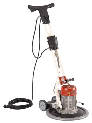 Raimondi maxititina 219 - raimondi,