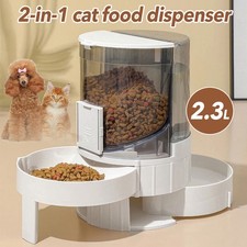 Hunde Katzen Wasser und