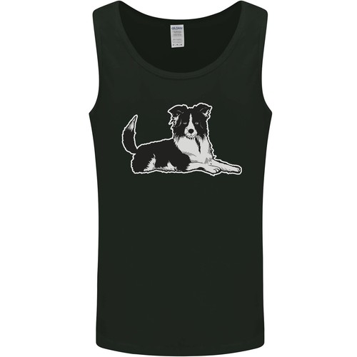 Ein border collie hund - ein,