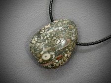 FOSSIL-KORALLE EDELSTEIN-ANHÄNGER mit BAND ✦Originalfoto✦ TROMMELSTEIN ☯︎A3