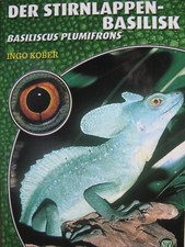 Der Stirnlappen Basilisk Natur