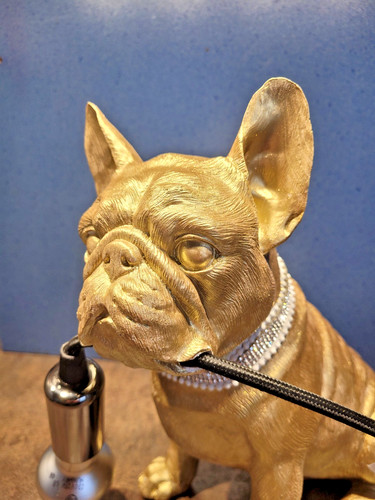Französische bulldogge - französische,