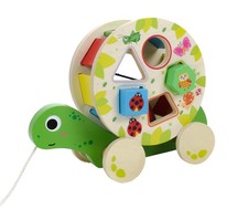 Ziehschildkröte Kinder