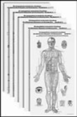 Die topographisch anatomischen - die, topographisch-anatomischen