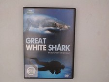 Great white shark begegnung - white,