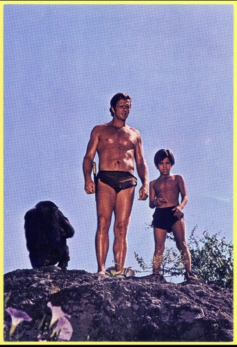 Tarzan penny sammelbild - penny, film