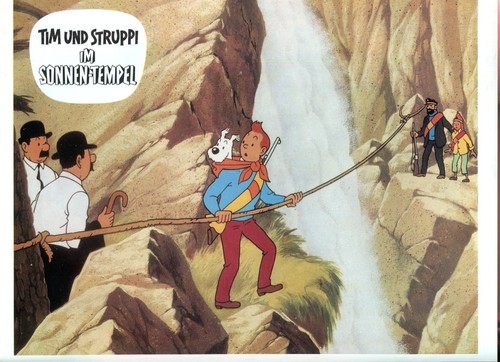 Tim und struppi im - tim,
