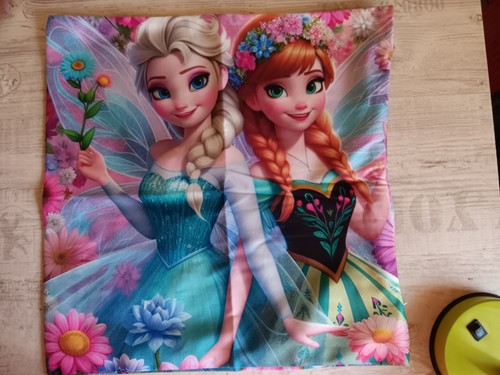 Kissenbezug anna und elsa - ,