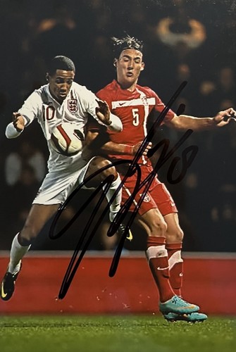 Nemanja gudelj - 🇷🇸,