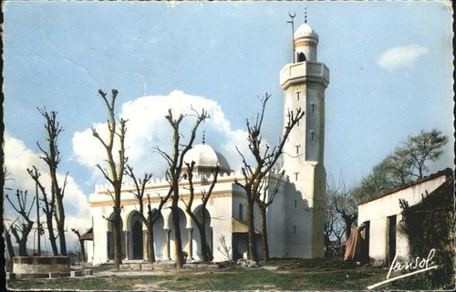 Tizi ouzou neue moschee - ouzou,