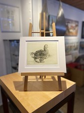 Walter Herzog Radierung/Grafik