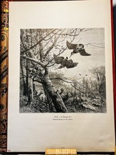 Otto Kreßner Oculti 1879 HOLZSTICH Jagd Szene Wald Natur Grafik Original
