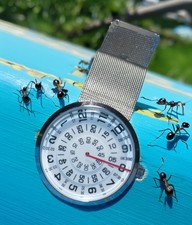 Turntable Dial Watch PAIDU