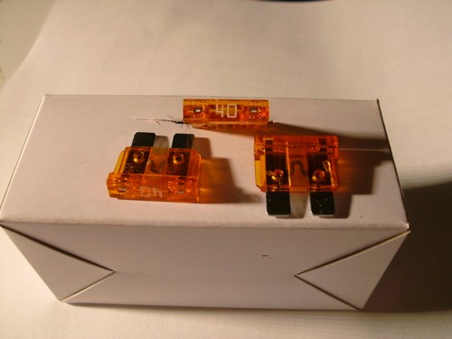 12v flachsicherung 19mm 40a - 12v,