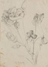 E. BRIQUET (1896-1971), Florale Zeichnung, Bleistift Biedermeier Blumen