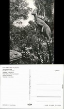 Kleinwelka Mały Wjelkow