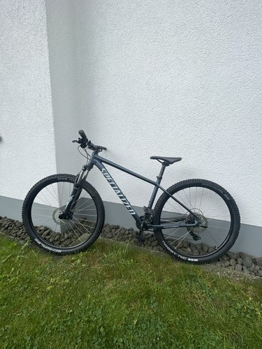 Specialized rockhopper 29 - l,