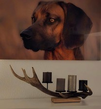 Kerzenständer Rothirsch 8cm