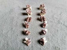 Rotwild , Geweih , Trophäen , Zähne