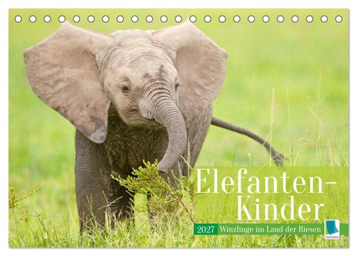 Elefanten kinder winzlinge im - elefanten, kinder: