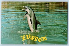 Miami florida postcard - florida,