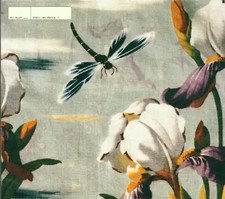 DJ Rush - Shall We Dance