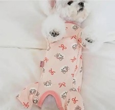 Hundebody OP-Body Allergiebody