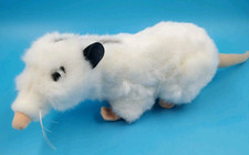 Kösen Heidi das schielende