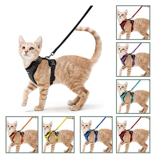 Katzengeschirr hundegeschirr - katzengeschirr,