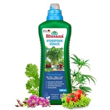 Blusana Hydroponik &