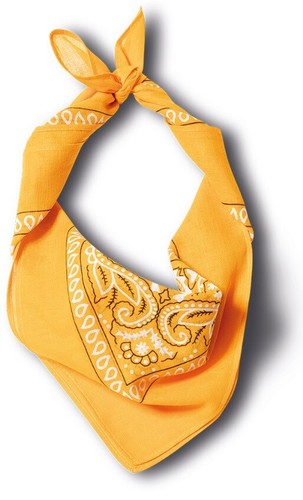 Bandana paisley kopftuch - bandana,