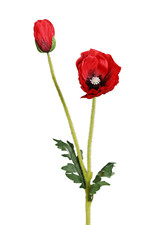 künstliche Mohnblume mit