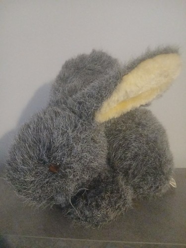 Pms grauer hase - pms,