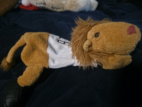 Nici goleo löwe maskottchen - goleo,