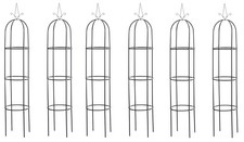 6er Set Rosensäule Romantika