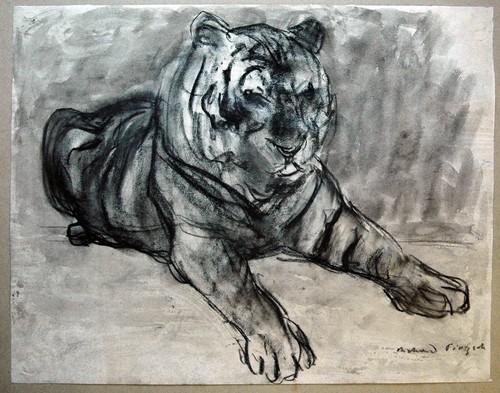 Ruhender tiger 1932er orig - ruhender,