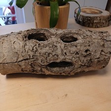 UNIKAT DEKO Nussbaum WALNUSS