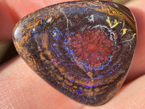 Boulder opal poliert - boulder, 32,2