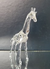 Swarovski Junge Giraffe 236717
